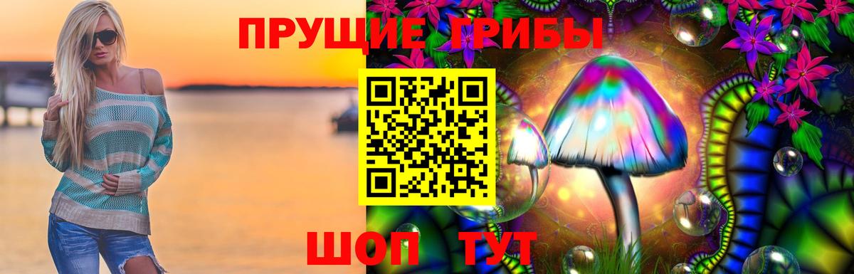 Псилоцибиновые грибы прущие грибы  Псилоцибиновые грибы Psilocybe  Пугачёв  Вход с VPN 